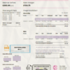 pink realm universal multipurpose electricity and gas statement template in Word format