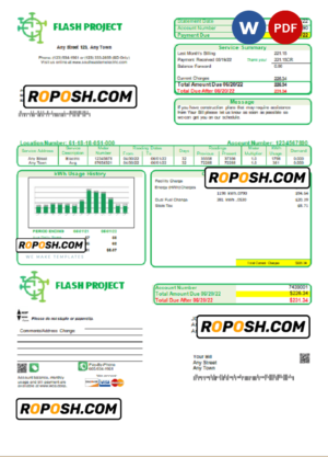 flash project universal multipurpose utility bill, Word and PDF template