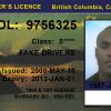 British Columbia Driver License Free Template