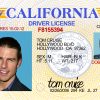 California Driver License Free Template