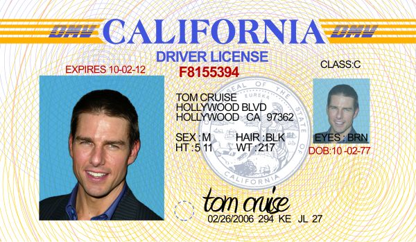 California Driver License Free Template