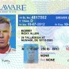 Delaware Driver License Free Template