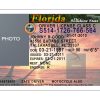 Florida Driver License Free Template