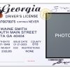 Georgia Driver License Free Template