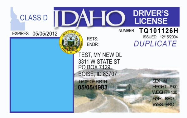 Idaho Driver License Free Template