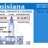 Louisiana Driver License Free Template