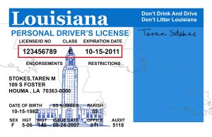 Louisiana Driver License Free Template