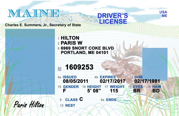 Maine Driver License Free Template