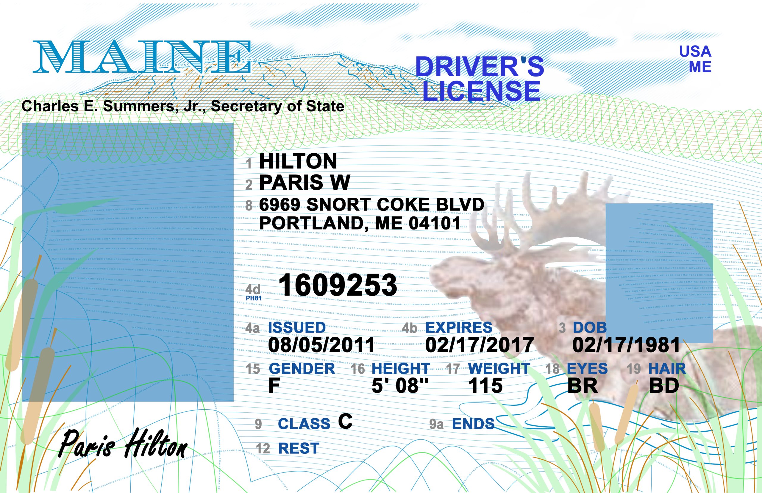 Maine Driver License Free Template