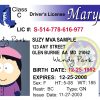 Maryland Driver License Free Template