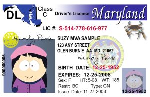 Maryland Driver License Free Template