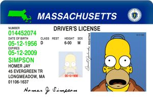 Massachusetts Driver License Free Template