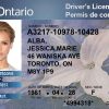 Ontario Canada Driver License Free Template