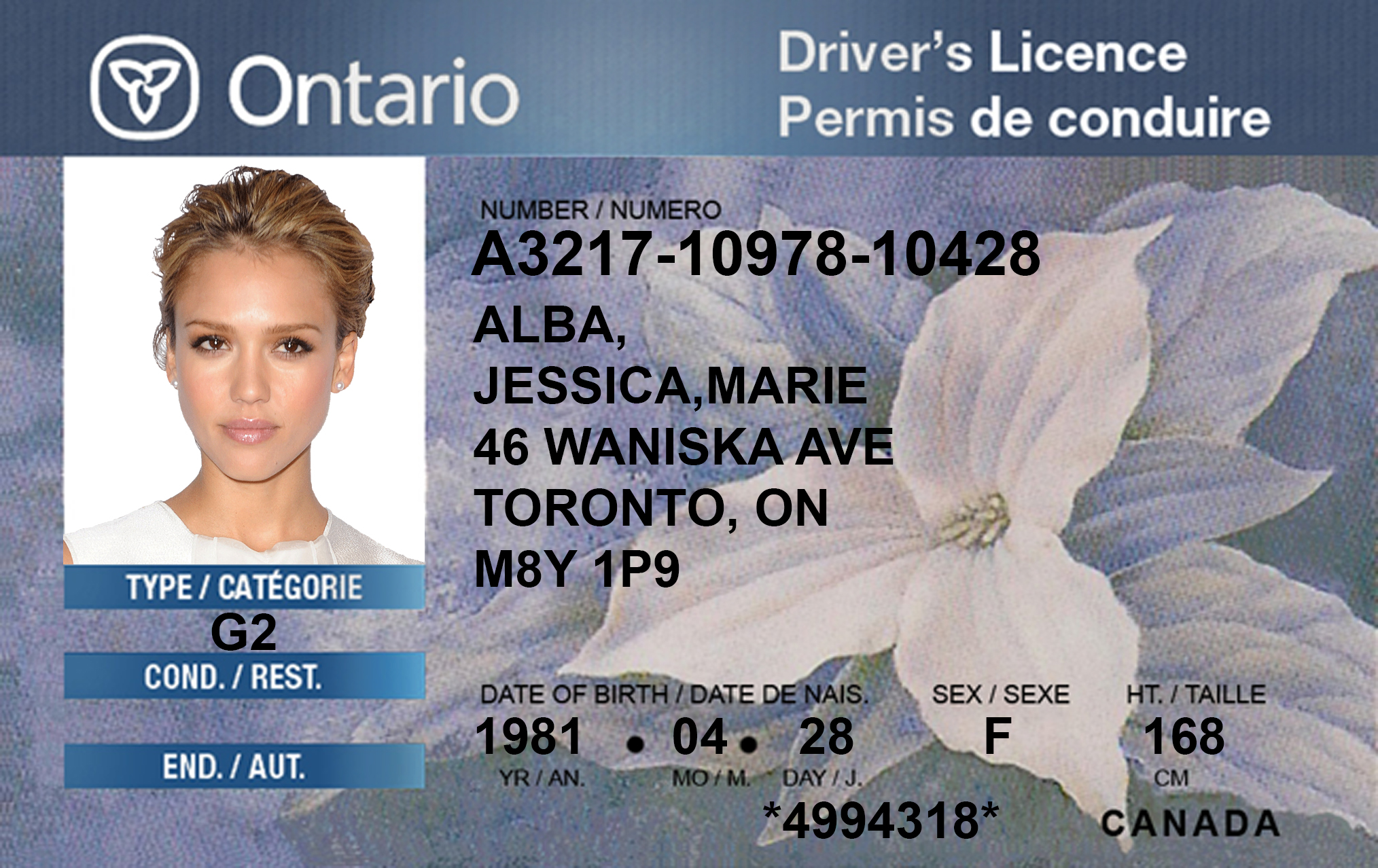 Ontario Canada Driver License Free Template