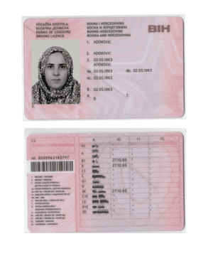 Bosnia and Herzegovina driving license PSD template