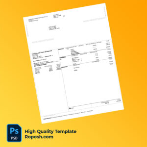 Community Chiropractic Center LLC check stub word and pdf template