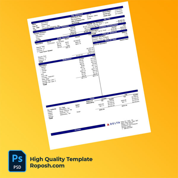 Delta Air Lines Inc pay stub word and pdf template
