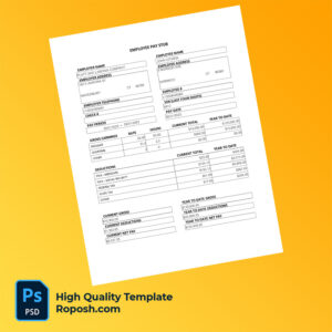 Platt and Labonia Company pay stub word and pdf template