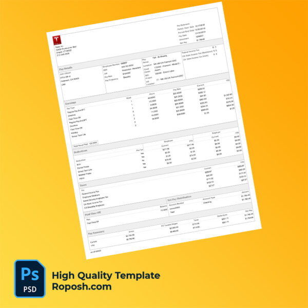 Tesla Inc earning statement word and pdf template