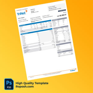 TriNet earning statement word and pdf template