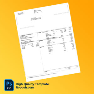 ASA Carlton Inc pay stub word and pdf template