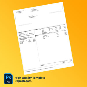 ASDEN Management LLC pay stub word and pdf template