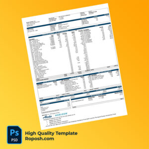 Alaska Airlines Inc earning statement word and pdf template