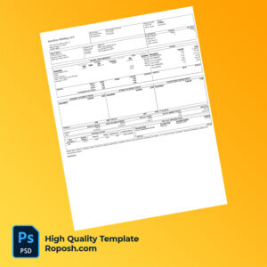 Amedisys Holding LLC earning statement word and pdf template
