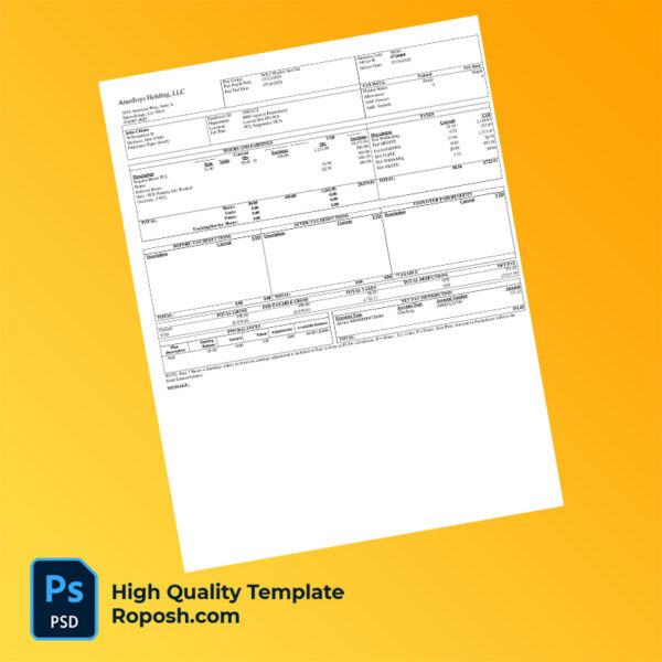 Amedisys Holding LLC earning statement word and pdf template