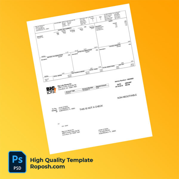 Big Lots Stores Inc pay stub word and pdf template