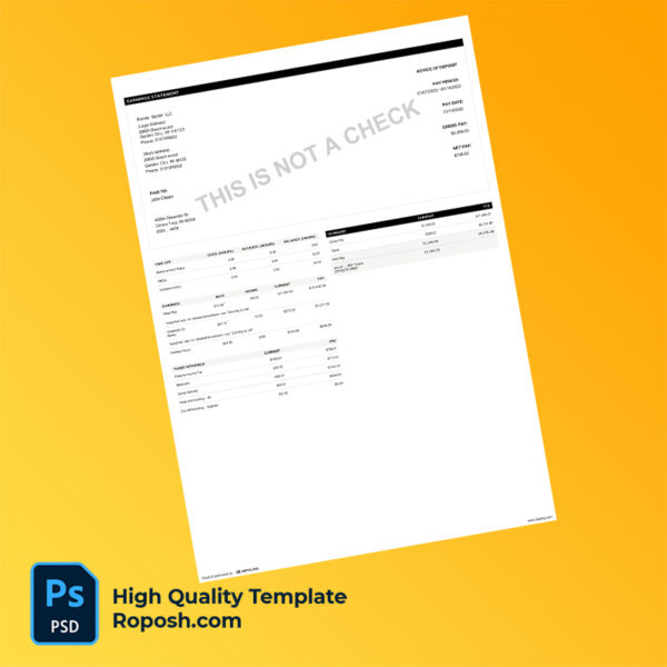 Blonde Bandit LLC earning statement word and pdf template