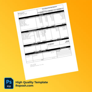 Boro Transit Inc earning statement word and pdf template