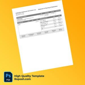 Casiola LLC earning statement word and pdf template