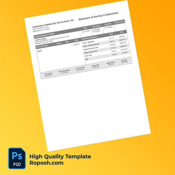 Casiola LLC earning statement word and pdf template