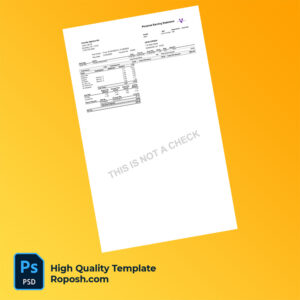 County Agency Inc earning statement word and pdf template