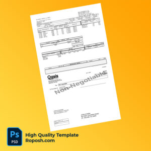 ESS Support Services LLC paycheck word and pdf template