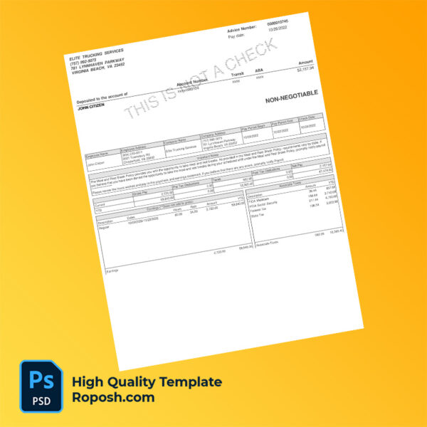 Elite Trucking Services earning statement word and pdf template