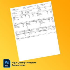 Emory Healthcare pay stub word and pdf template