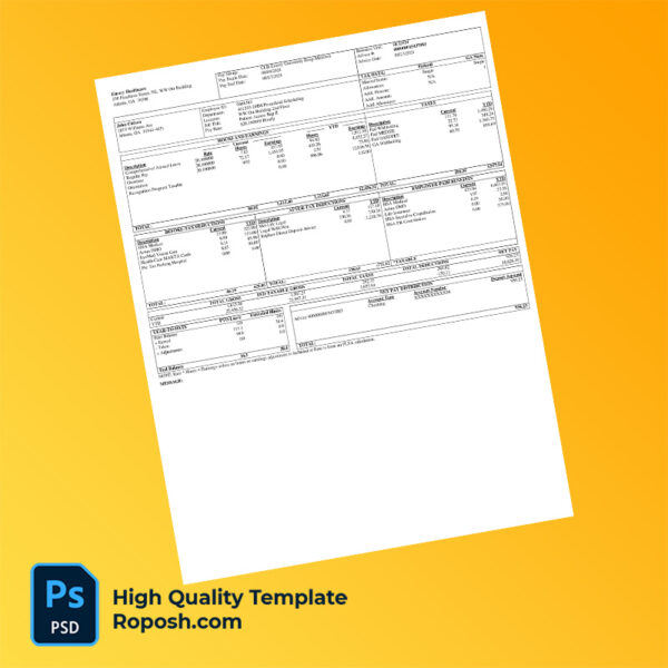 Emory Healthcare pay stub word and pdf template