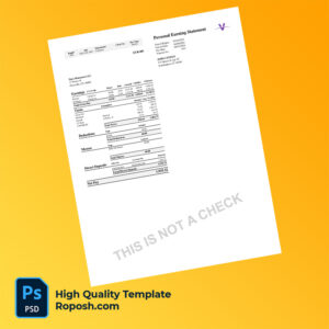 Euro Homecare LLC earning statement word and pdf template