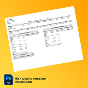 LGS Staffing earning statement word and pdf template