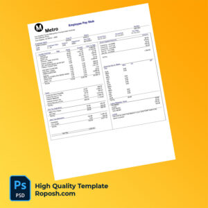 Metropolitan Transportation Authority pay stub word and pdf template
