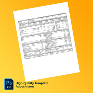 SOLV Energy LLC pay stub word and pdf template