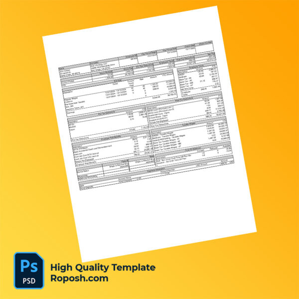 SOLV Energy LLC pay stub word and pdf template