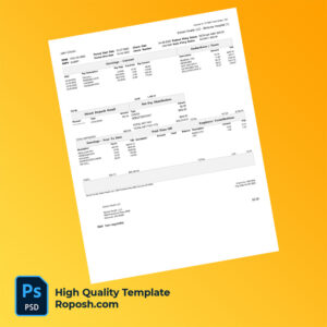 Soliant Health LLC earning statement word and pdf template