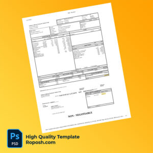 Southern California Permanente Medical Group paycheck word and pdf template