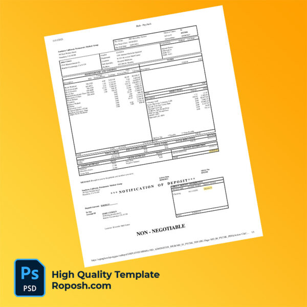 Southern California Permanente Medical Group paycheck word and pdf template