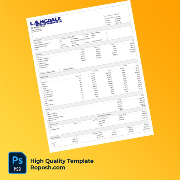 The Langdale Company earning statement word and pdf template