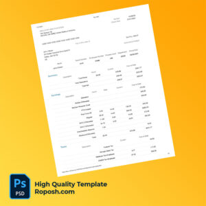 Wellstar Health System pay stub word and pdf template
