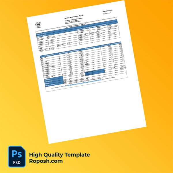 Adhikar Micro Finance (P) Ltd payslip word and pdf template